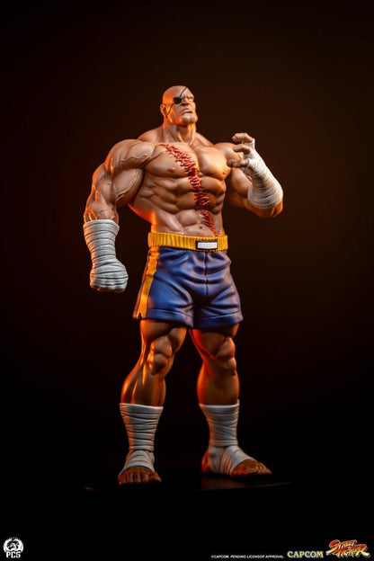 Street Fighter - Sagat & Juli, Street Jam Statues 1/10 24 cm