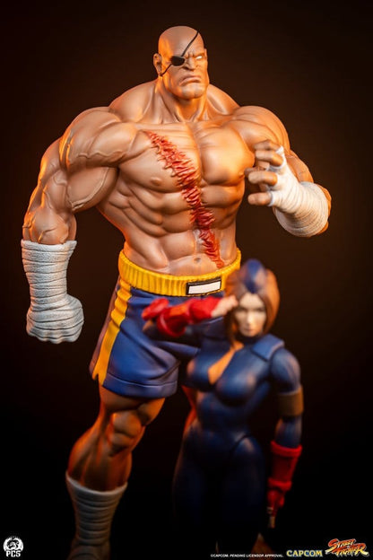 Street Fighter - Sagat & Juli, Street Jam Statues 1/10 24 cm