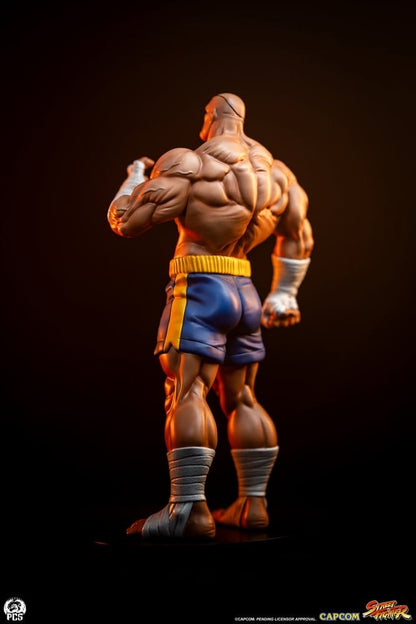 Street Fighter - Sagat & Juli, Street Jam Statues 1/10 24 cm