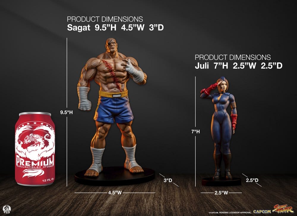 Street Fighter - Sagat & Juli, Street Jam Statues 1/10 24 cm